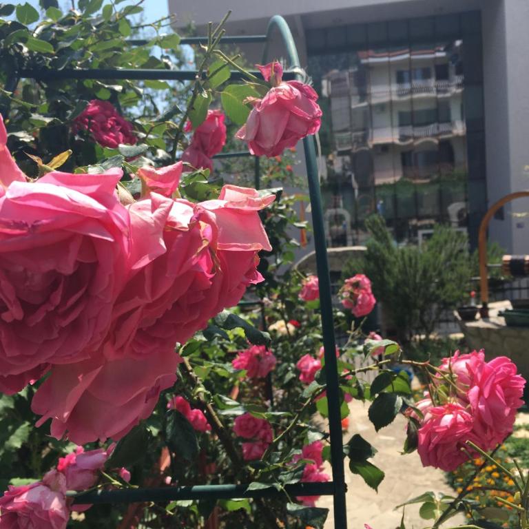 Apartments Milena - Apartman sa Balkonom - 1