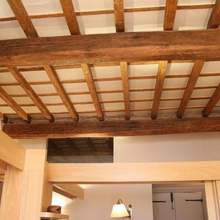 Piazza Argentina/Pantheon - Loft - 1