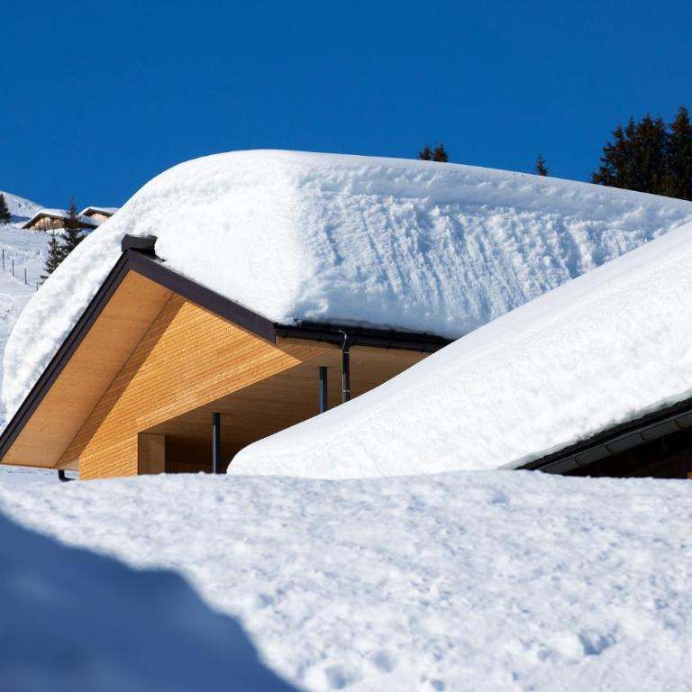 Schneeglöckle Appartements - Superior Apartment mit 1 Schlafzimmer - 44