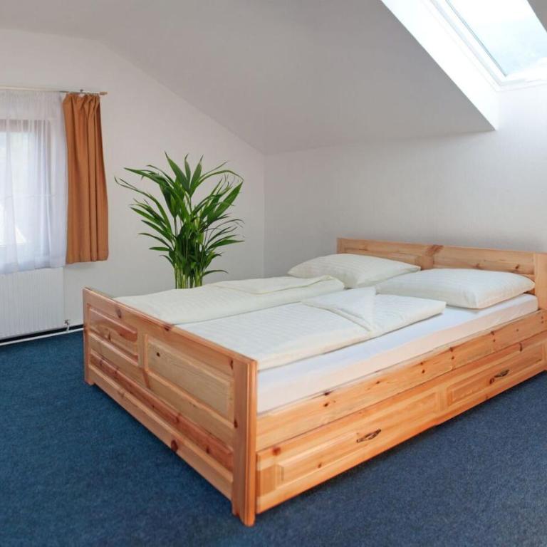 Gasthaus Pension Goldeck - Camera Matrimoniale con Bagno Privato - 1