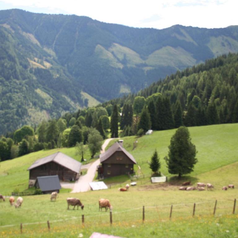 Ferienhaus Stoiser - Vacation Home - 32