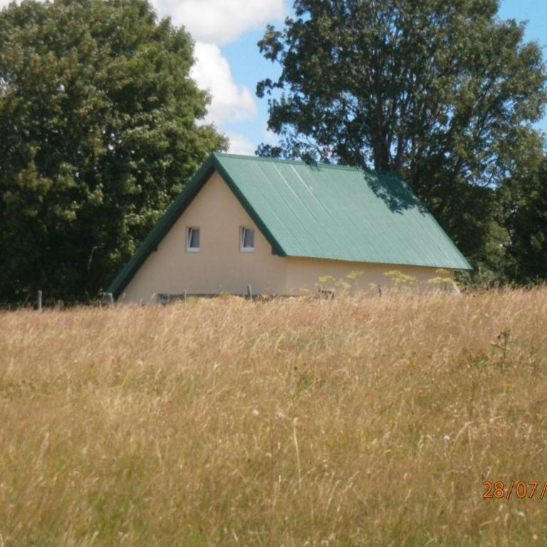 Wolf Apartment - Apartment - 18