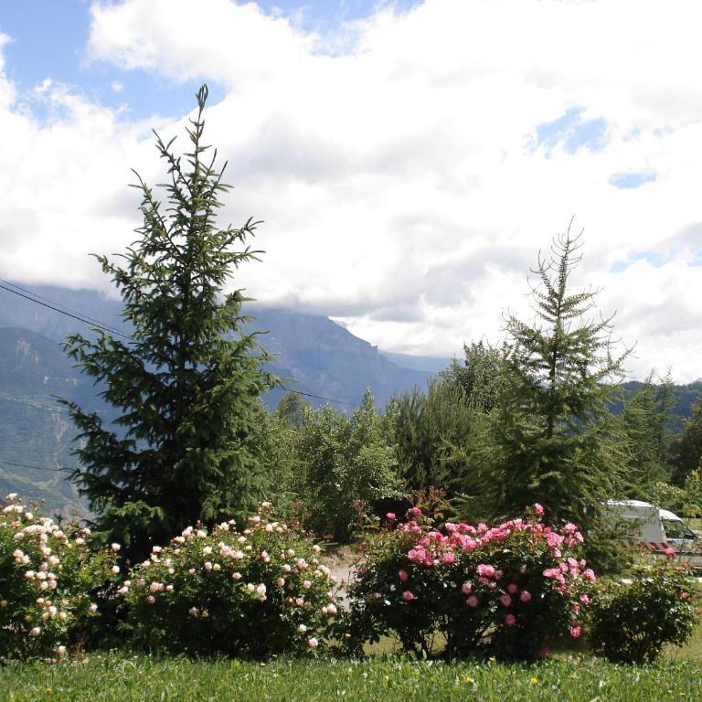 Le Maurillon - Monolocale - 58