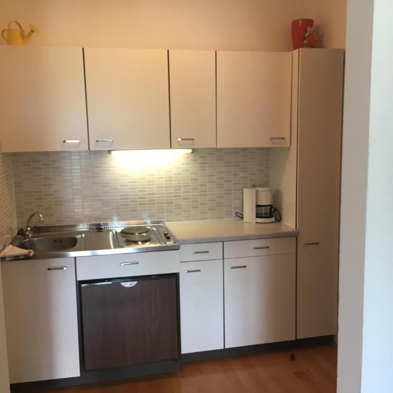 Apartments Urschitz - Apartment mit Seeblick - 1