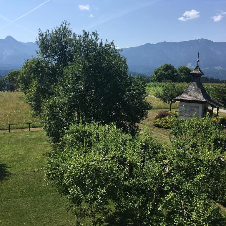Apartments Urschitz - Apartment mit Seeblick - 3