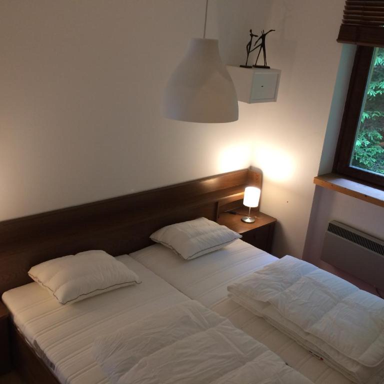 Lärchenhof Apartment Nr 8 - Apartment mit Blick auf die Berge - 5