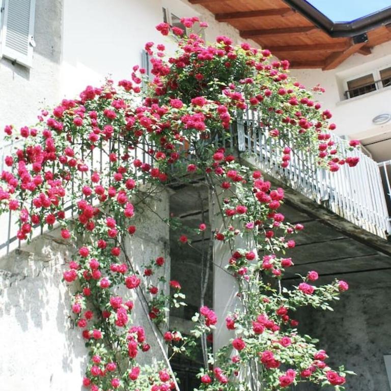 "Il Cortile" Apartment - Appartamento con Balcone - 11