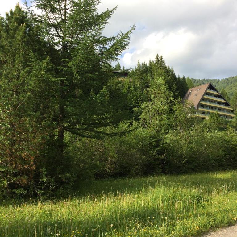 Lärchenhof Apartment Nr 8 - Apartment mit Blick auf die Berge - 16