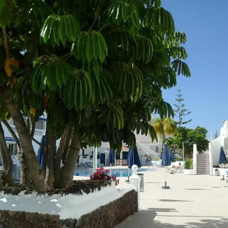 Porto Royale - Apartamento Estudio con vistas al mar - 17