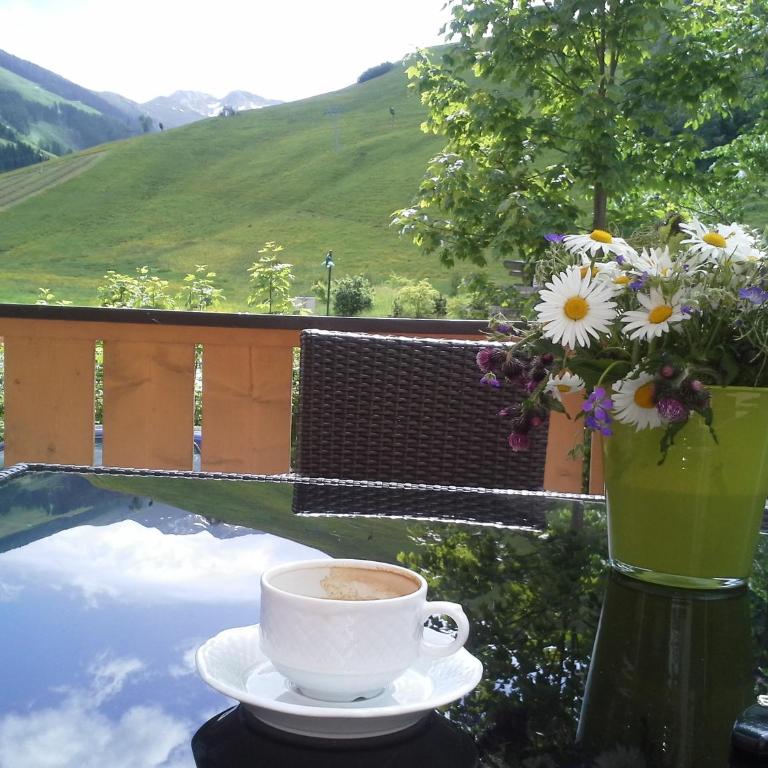 Am Zwölferkogel Appartements - Apartment mit Blick auf die Berge - 11