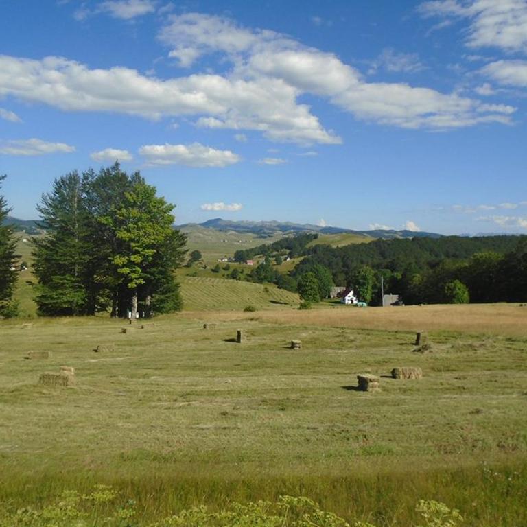 Koliba Toplik - Vikendica - 16