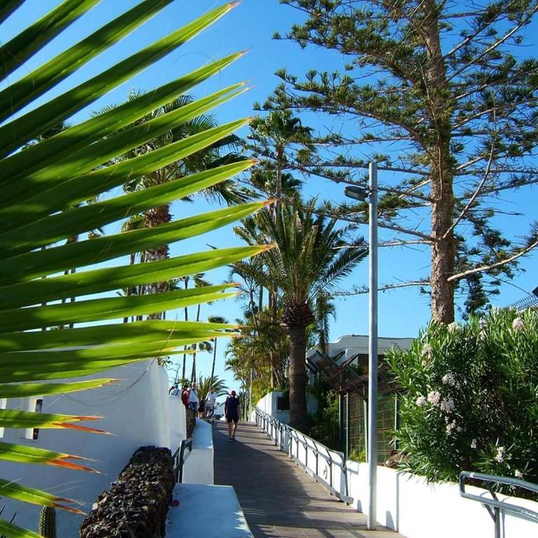 Los Cristianos to enjoy, relax and live the ocean! - Estudio Deluxe - 29