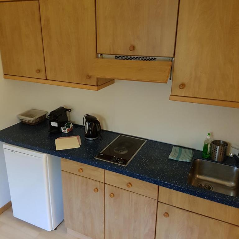 Das Sonnenheim - Apartamento - Planta baja - 7