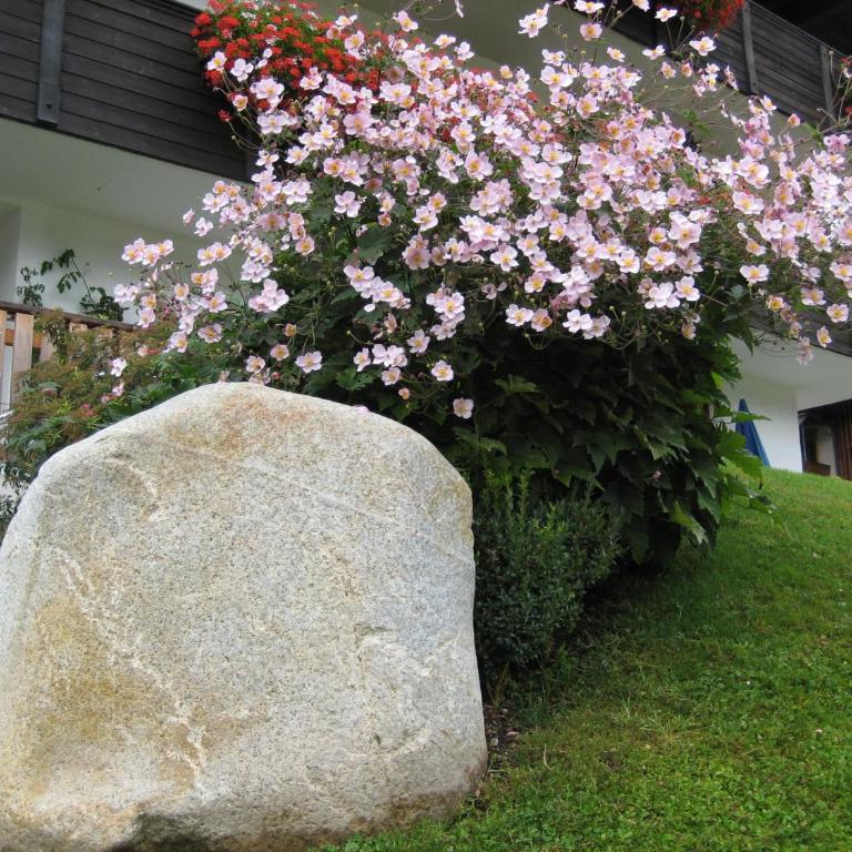 Appartements Bachler - Apartment mit Gartenblick - 7