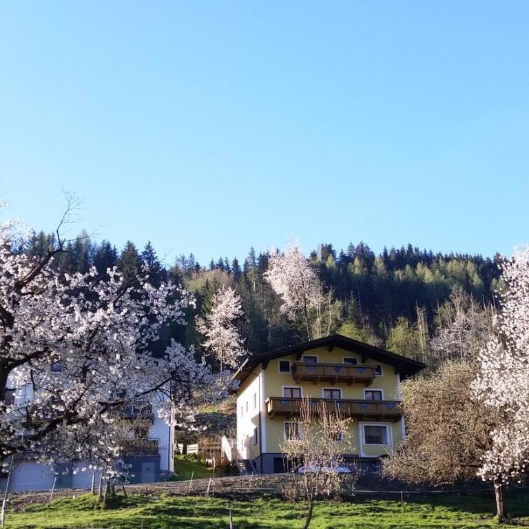 Ferienhaus Karin - Haus mit 5 Schlafzimmern - 9