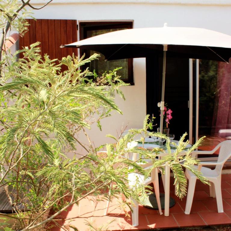 Casa Orsoni - Studio avec Vue sur Jardin - 1