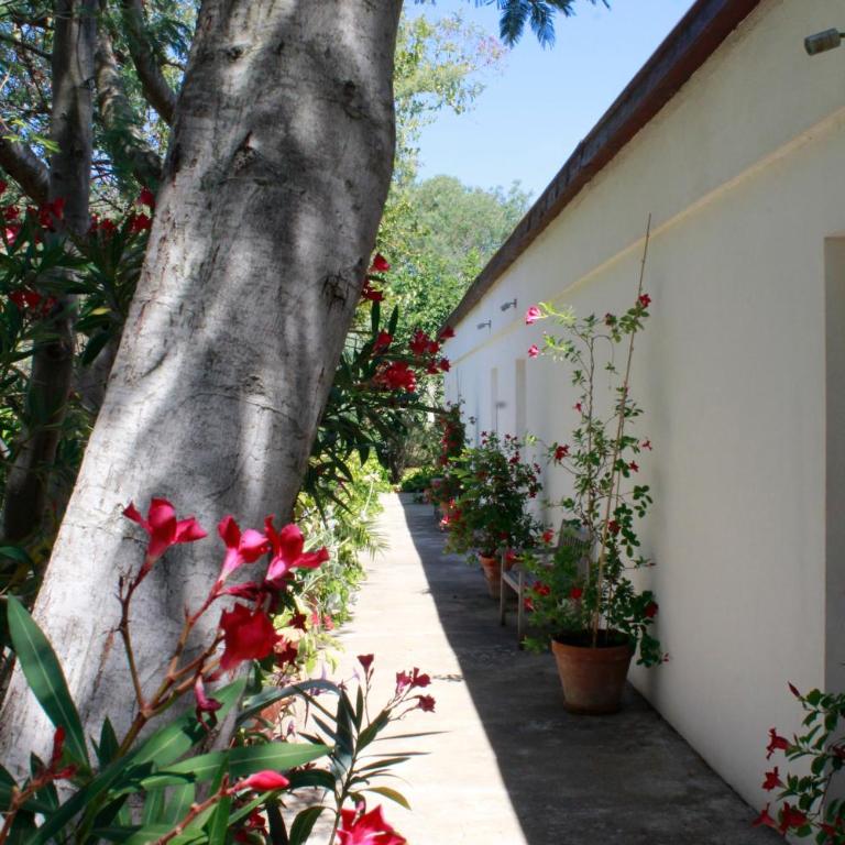 Casa Orsoni - Studio avec Vue sur Jardin - 6