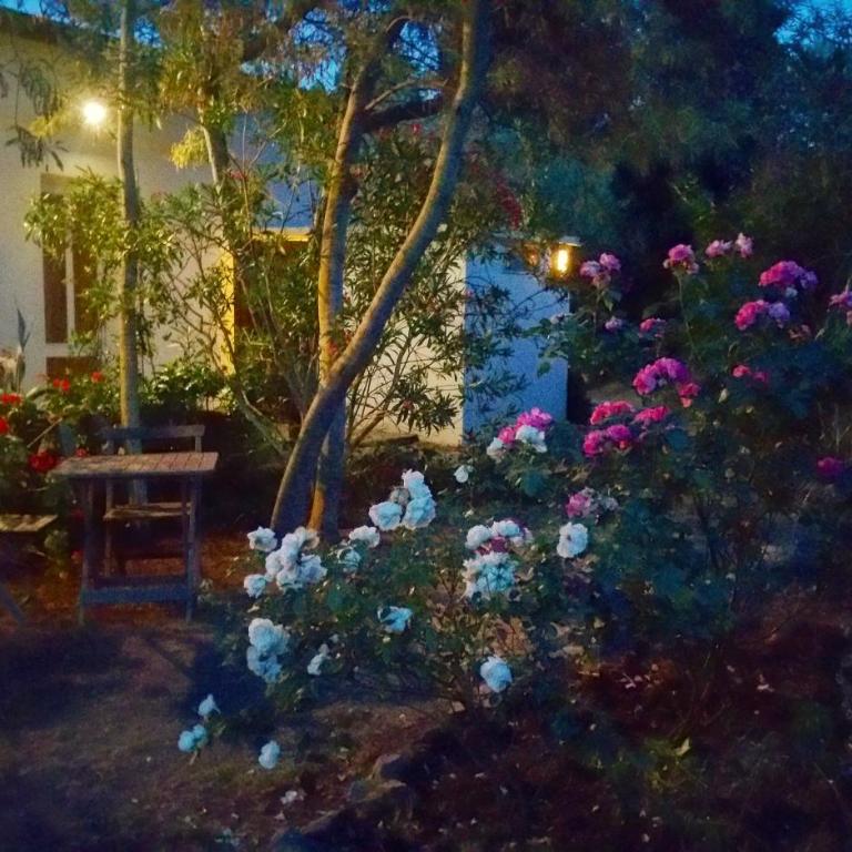Casa Orsoni - Studio avec Vue sur Jardin - 13