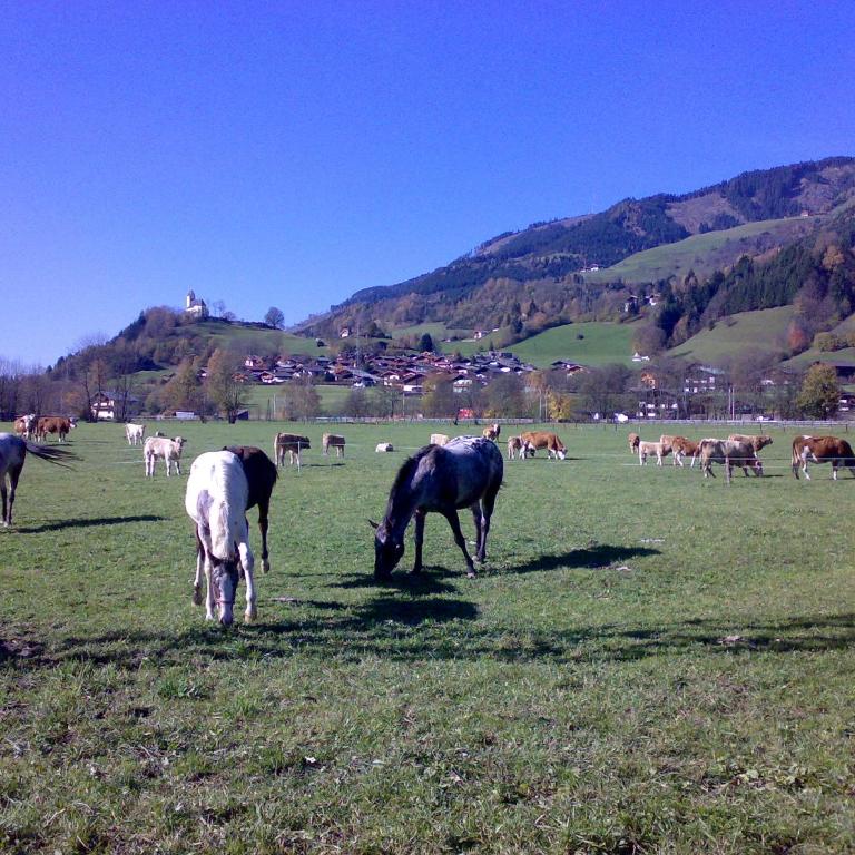 Ferienhaus Karin - Haus mit 5 Schlafzimmern - 26