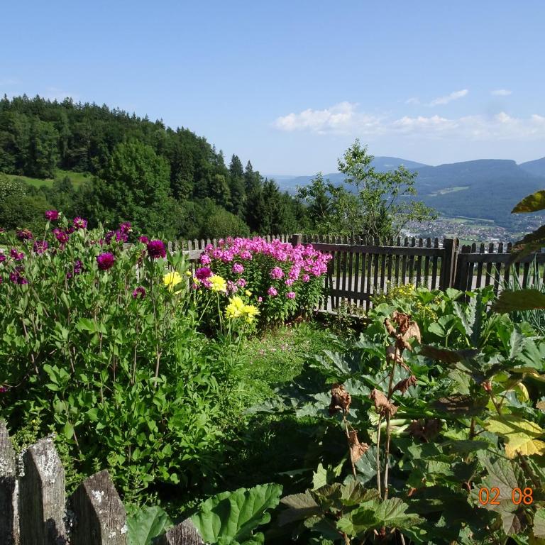 Ferienwohnung Löffelberger - Apartment mit 1 Schlafzimmer, Balkon und Bergblick - 19