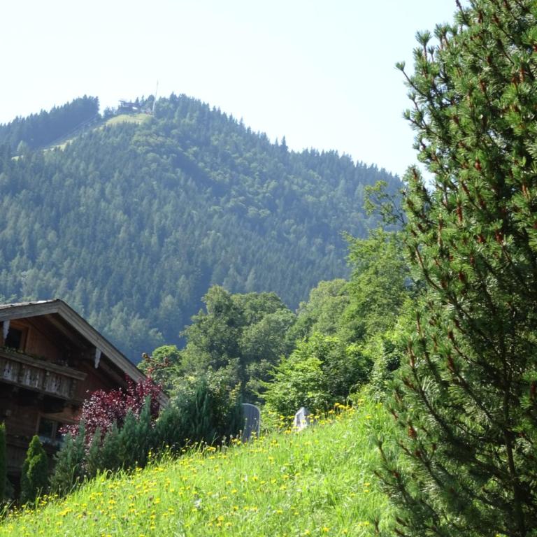 Ferienwohnung Löffelberger - Apartment mit 1 Schlafzimmer, Balkon und Bergblick - 21