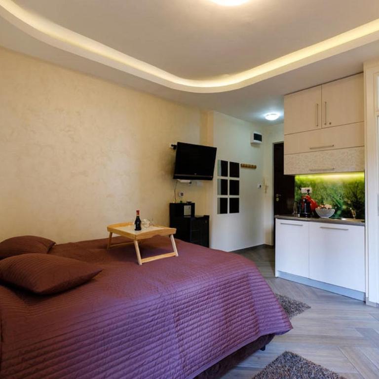 Enjoy Belgrade - Studio Apartment - 7