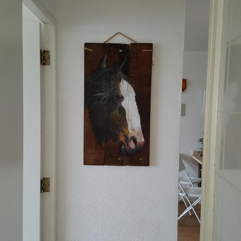 Condominio Bahia Pelicanos - Horcon - Apartment with Sea View - 30