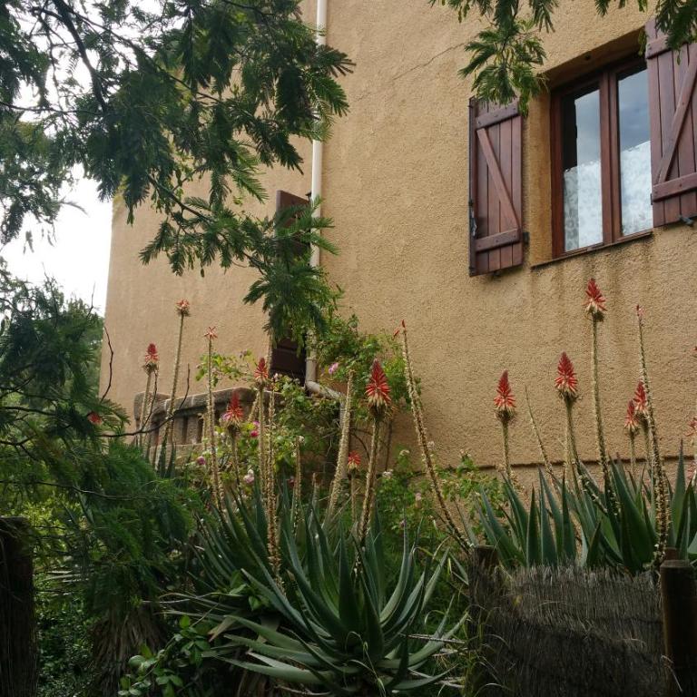 Casa Orsoni - Maison 3 Chambres - 12
