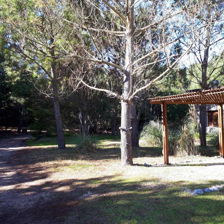La Gringa, un espacio único en el medio del bosque - Casa Unifamiliar de 3 dormitorios - 20