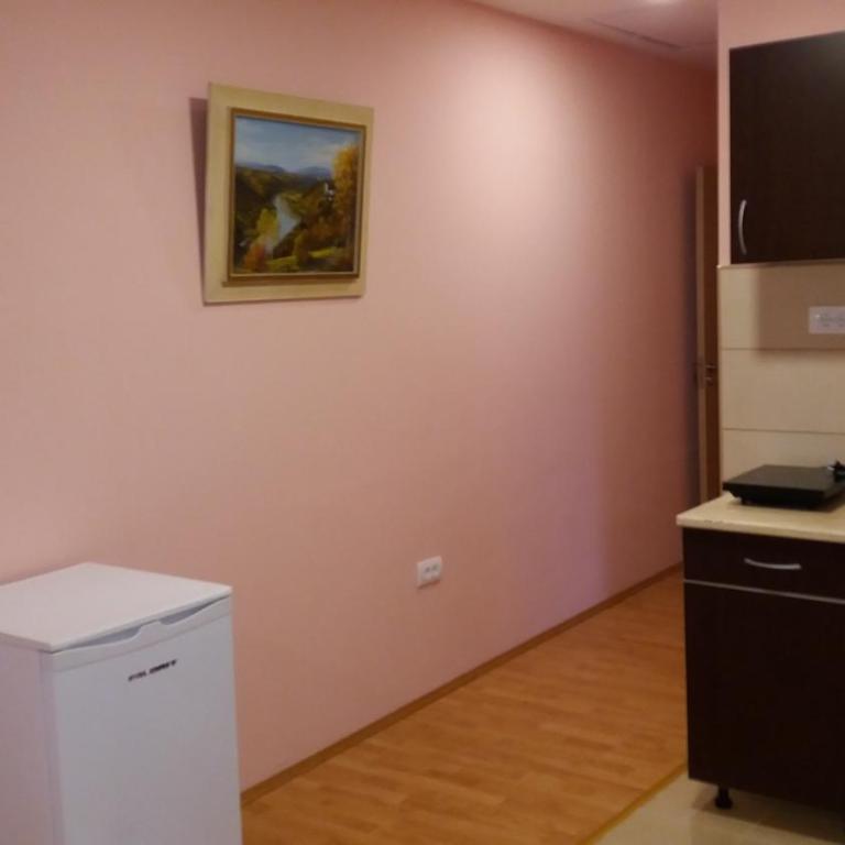 Apartmani KNEŽEVIĆ - One-Bedroom Apartment - 16