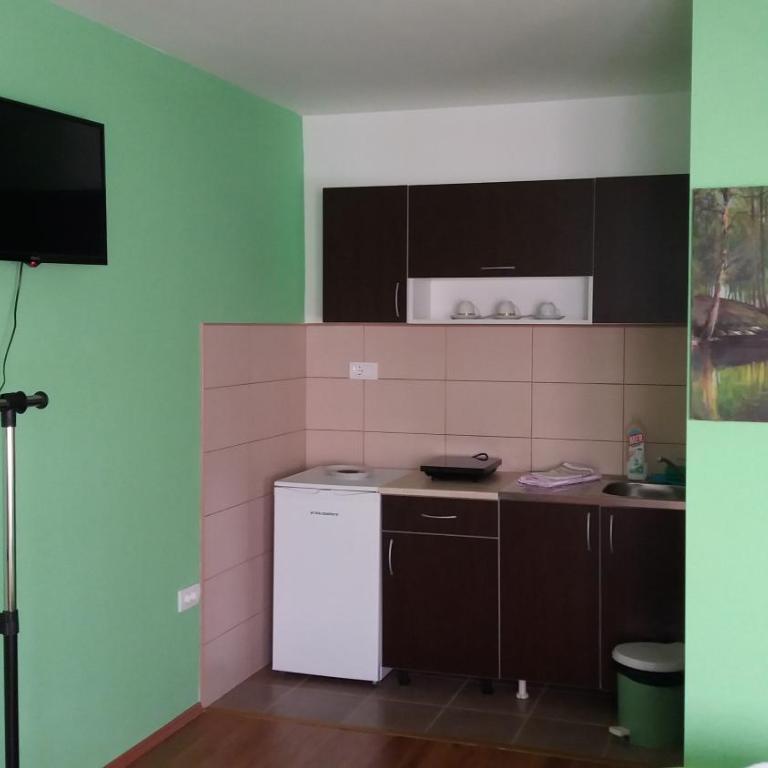 Apartmani KNEŽEVIĆ - Apartment with Mountain View - 16