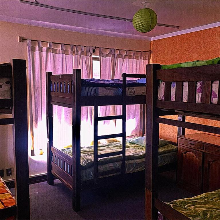 Greenhouse Bolivia - Cama en habitación compartida mixta de 6 camas - 5