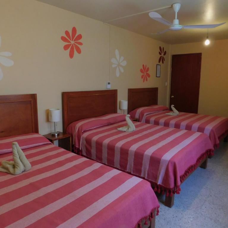 Hotel Florida Oaxaca - Habitación con 3 camas dobles - 3