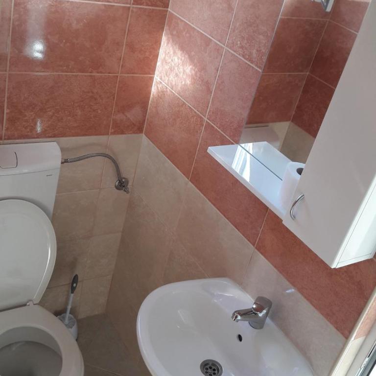 Apartmani "Ravić" - Studio sa Terasom - 17