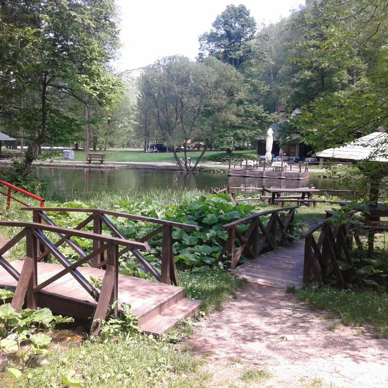 Apartment Pavlovic - Apartman - Prizemlje - 45