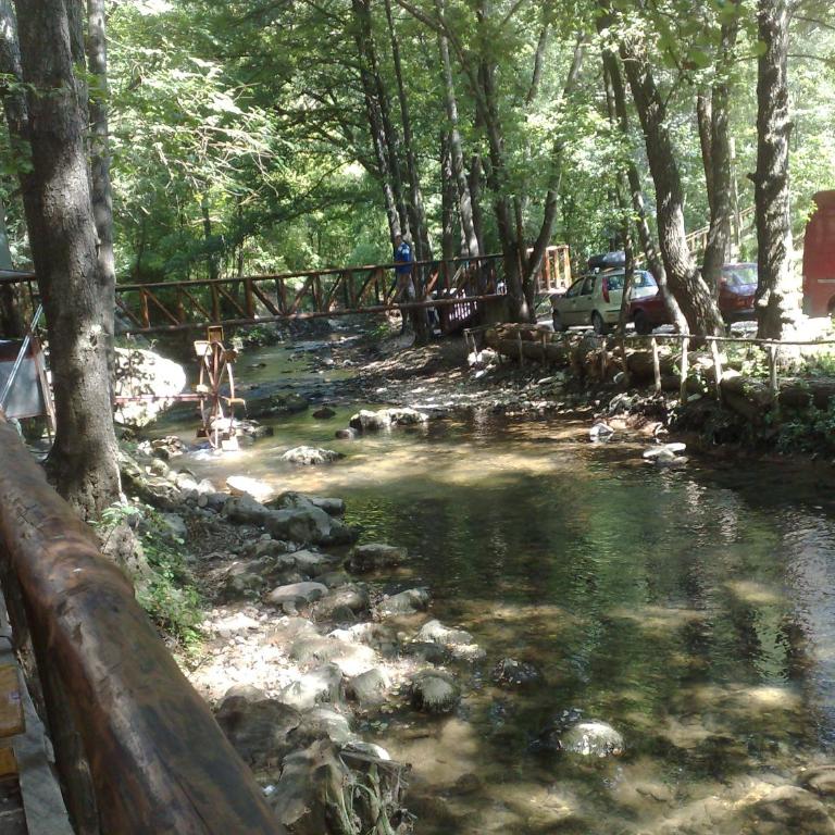 Apartment Pavlovic - Apartman - Prizemlje - 41