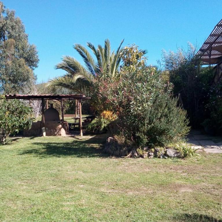 Casa La Serena - Four-Bedroom Vacation Home - 23