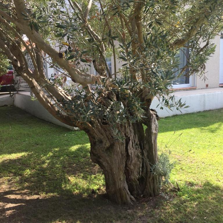 La maison de Virginie 6 a 12 personnes -300 m de la plage- vélos a disposition - Villa avec Piscine Privée - 42