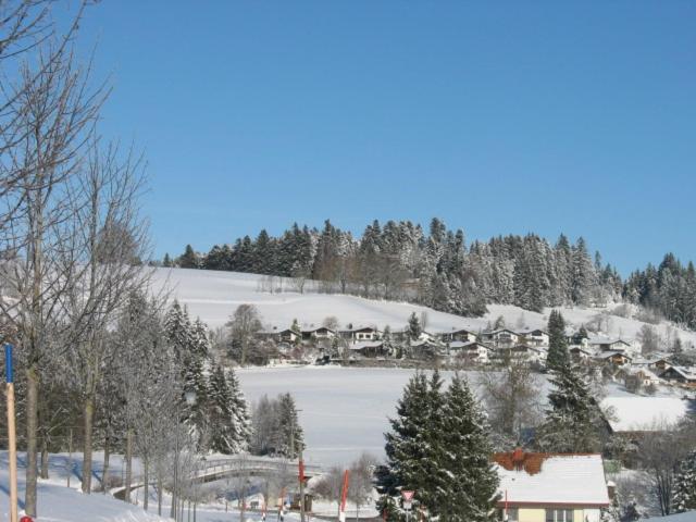 Haus Lenzhalde - Apartment mit Blick auf die Berge - 12