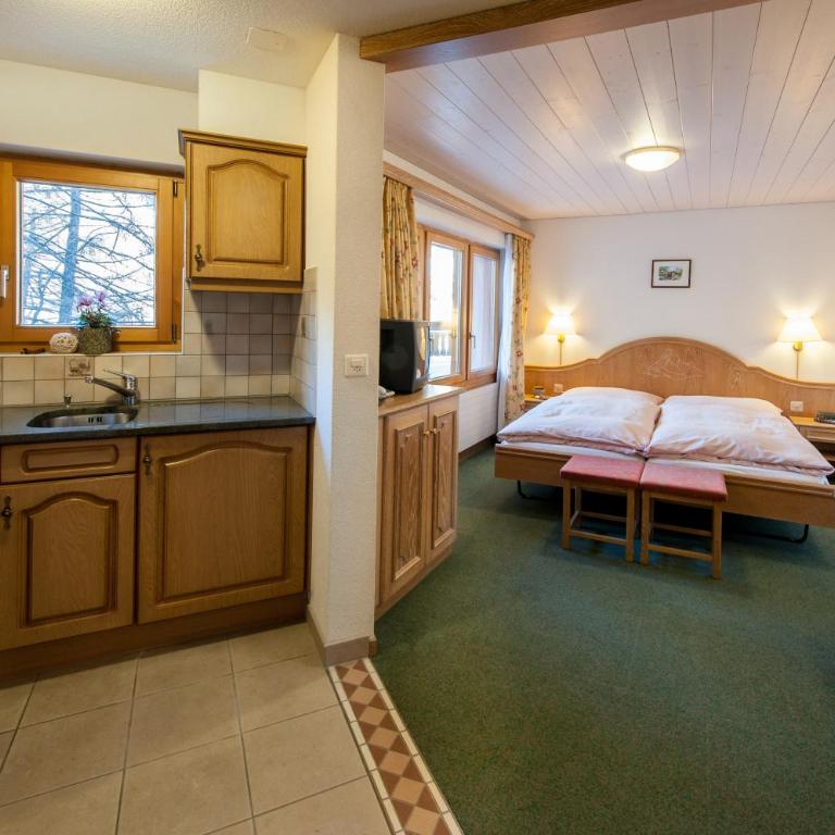 Apartments Zermatt Paradies - Studio Apartment mit Nordausrichtung im Erdgeschoss - 3