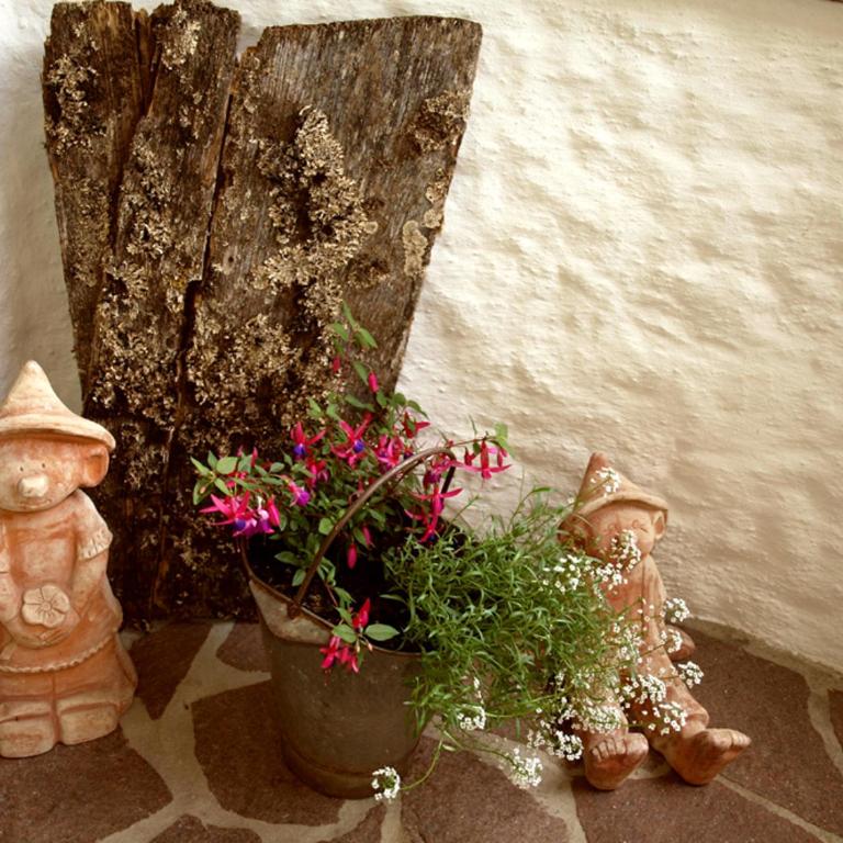 Landhaus Lindl - Ein ruhiges Platzl zum Wohlfühlen - Apartment - 14