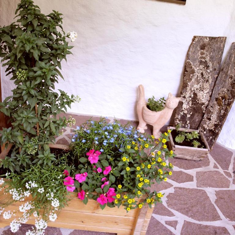 Landhaus Lindl - Ein ruhiges Platzl zum Wohlfühlen - Apartment - 13