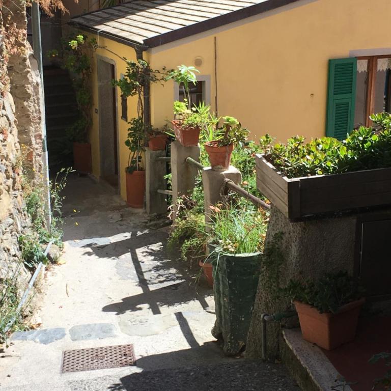 Appartamento chic Riomaggiore 5 Terre - Apartamento de 2 dormitorios - 44