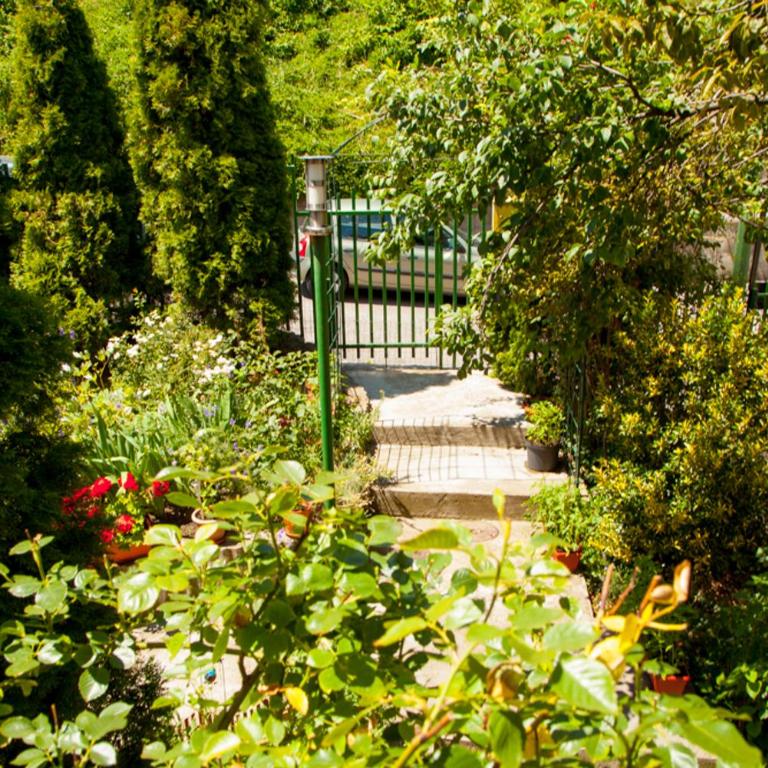 Lavender House - Apartment with Garden View - 4