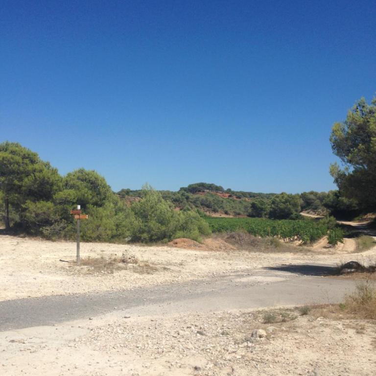 Well equipped village house close to historic centre - Pézenas - Maison de Vacances - 63