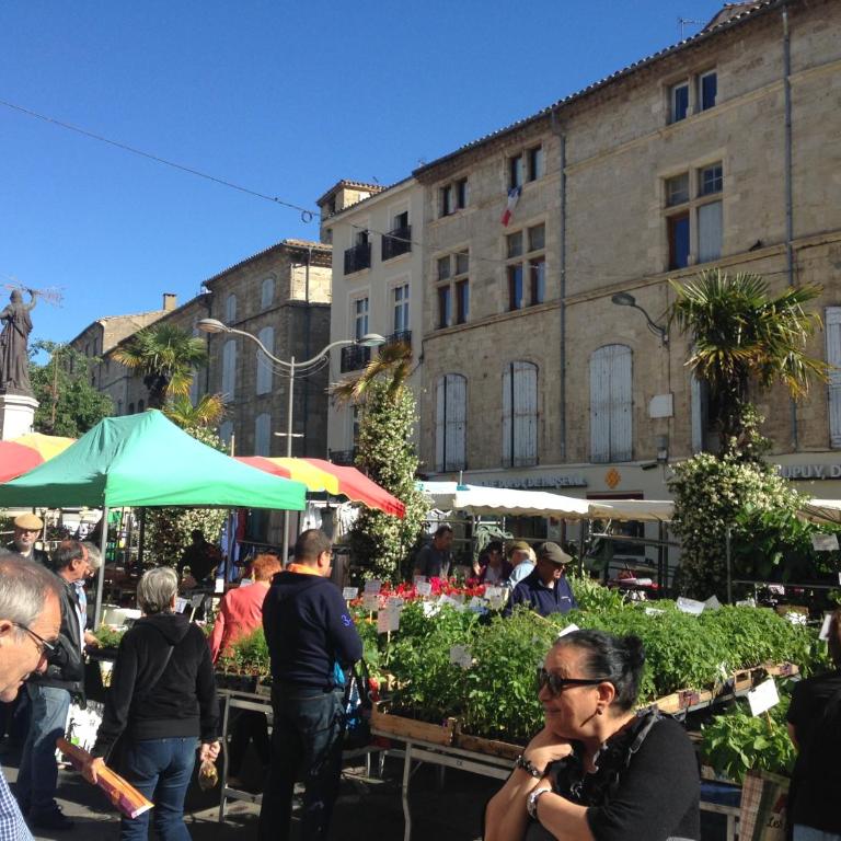 Well equipped village house close to historic centre - Pézenas - Maison de Vacances - 54