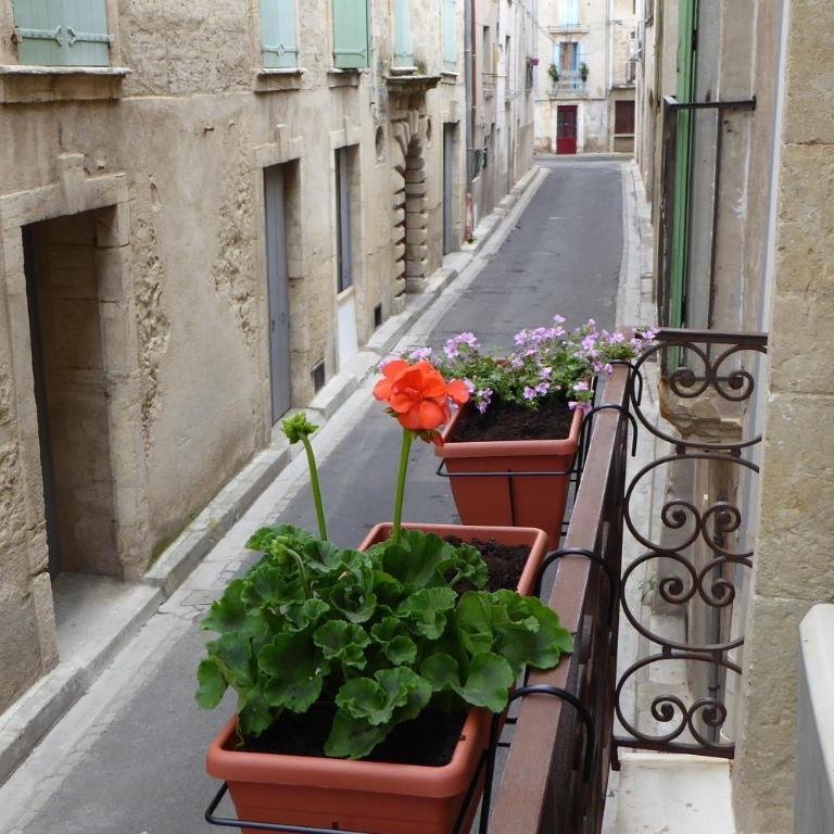 Well equipped village house close to historic centre - Pézenas - Maison de Vacances - 43