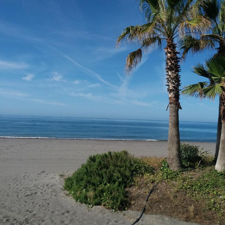 El Morche Beach - Apartment with Sea View - 26