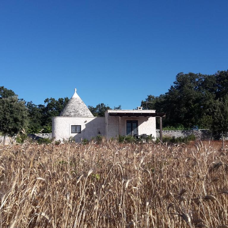 Al trullo - Casa Vacanze - 12