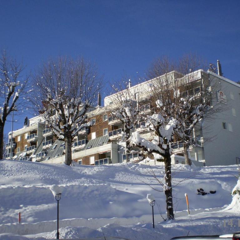 Résidences du Chamossaire - Apartamento Grande Familiar con 1 dormitorio - 1